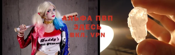 СК Аркадак