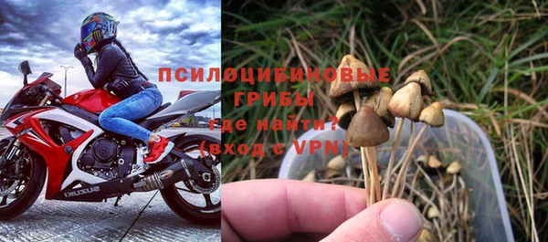 СК Аркадак
