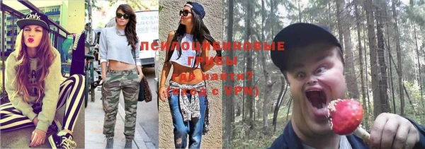 экстази Арсеньев