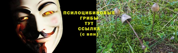 СК Аркадак